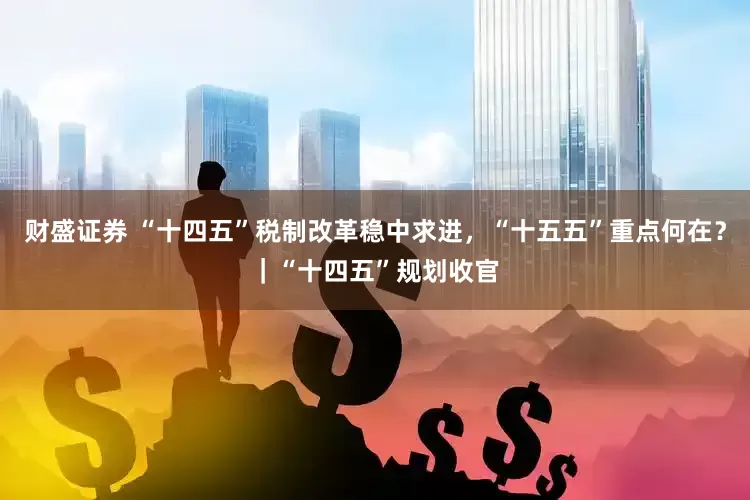 财盛证券 “十四五”税制改革稳中求进，“十五五”重点何在？｜“十四五”规划收官