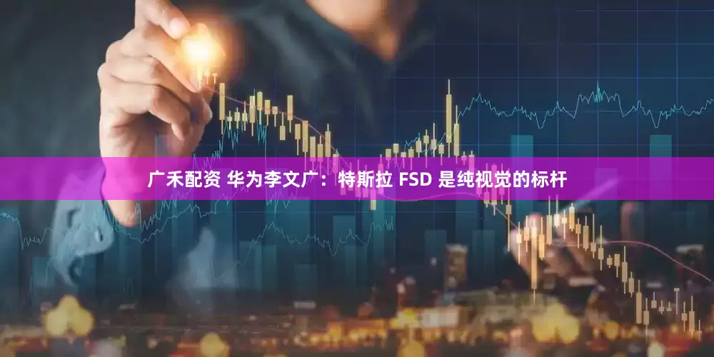 广禾配资 华为李文广：特斯拉 FSD 是纯视觉的标杆