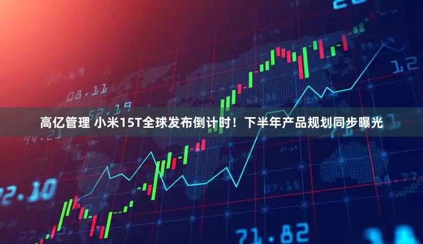 高亿管理 小米15T全球发布倒计时！下半年产品规划同步曝光