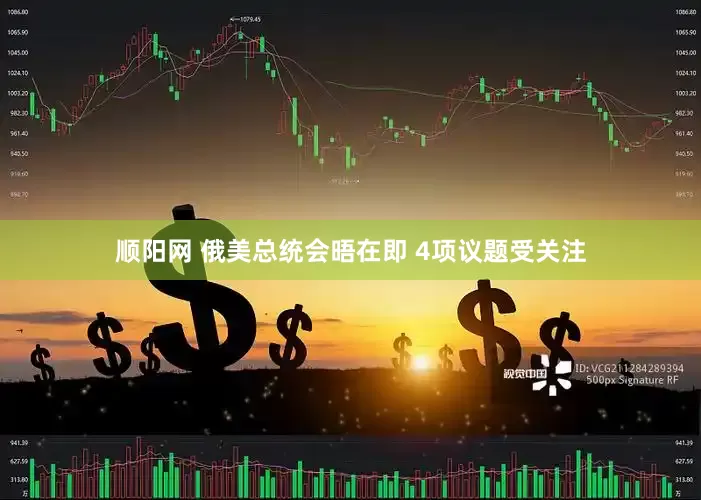 顺阳网 俄美总统会晤在即 4项议题受关注