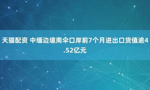 天猫配资 中缅边境南伞口岸前7个月进出口货值逾4.52亿元
