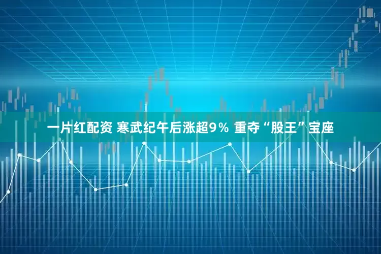 一片红配资 寒武纪午后涨超9％ 重夺“股王”宝座
