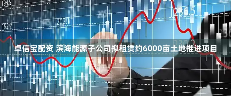 卓信宝配资 滨海能源子公司拟租赁约6000亩土地推进项目