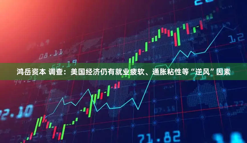 鸿岳资本 调查：美国经济仍有就业疲软、通胀粘性等“逆风”因素