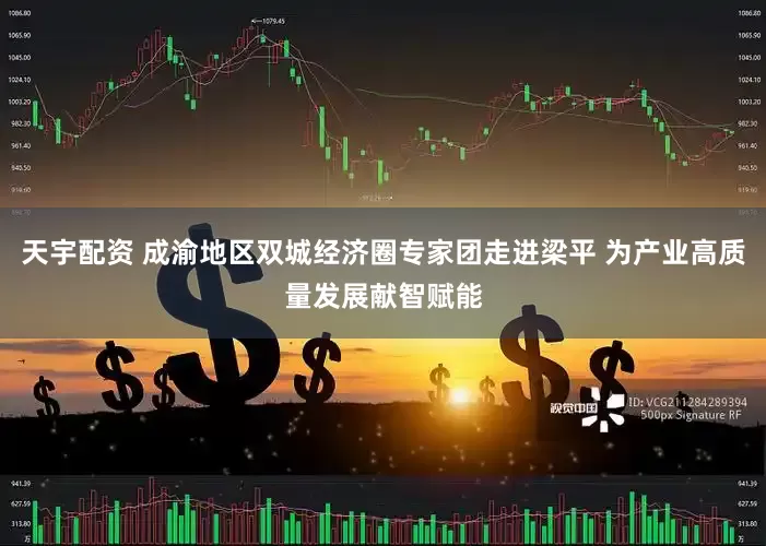 天宇配资 成渝地区双城经济圈专家团走进梁平 为产业高质量发展献智赋能