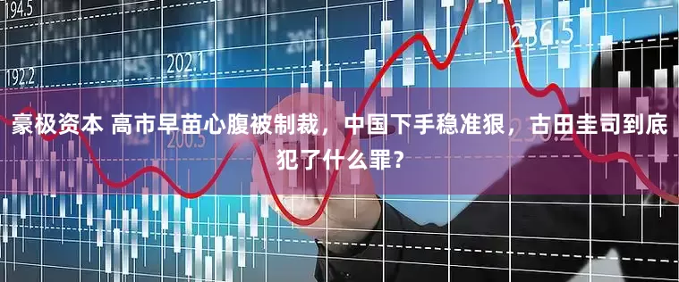 豪极资本 高市早苗心腹被制裁，中国下手稳准狠，古田圭司到底犯了什么罪？